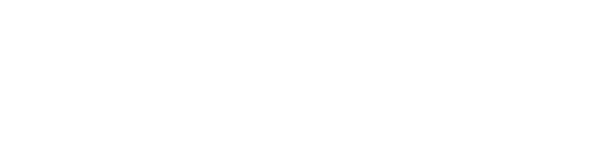 Tech Data Logo