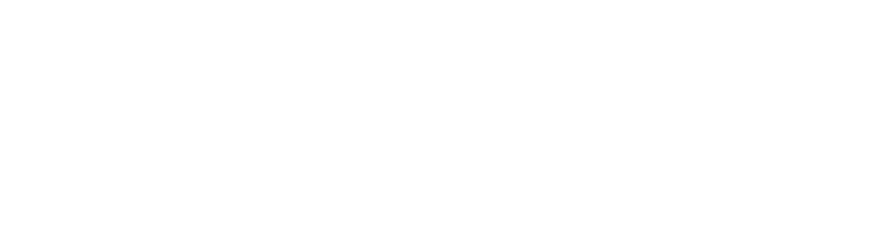 Placetel Logo